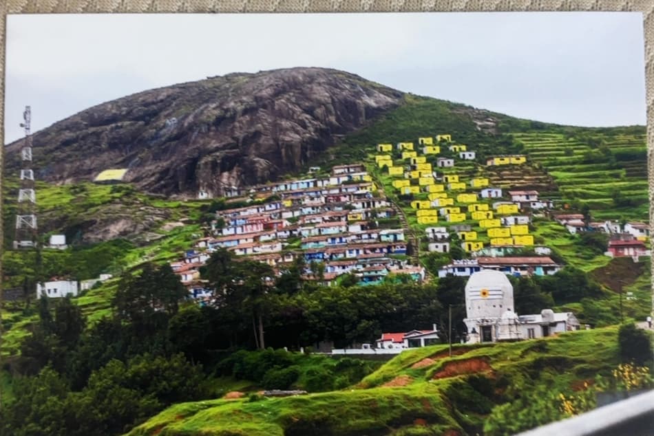 Ooty Landscape